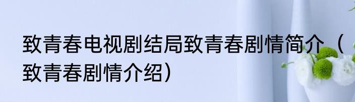 致青春电视剧结局致青春剧情简介（致青春剧情介绍）