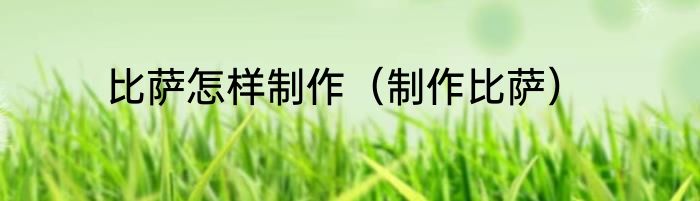 比萨怎样制作（制作比萨）