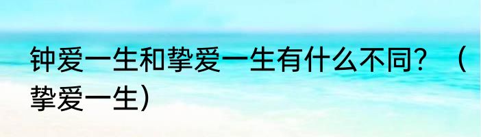 钟爱一生和挚爱一生有什么不同？（挚爱一生）