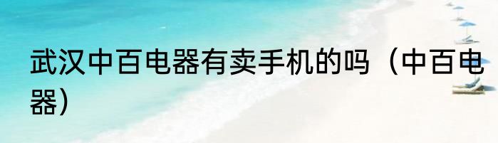 武汉中百电器有卖手机的吗（中百电器）