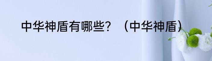 中华神盾有哪些？（中华神盾）