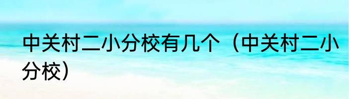 中关村二小分校有几个（中关村二小分校）