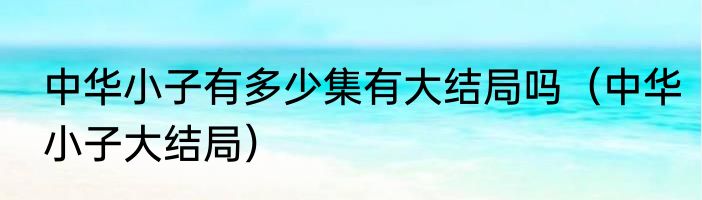 中华小子有多少集有大结局吗（中华小子大结局）