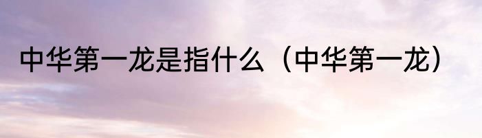 中华第一龙是指什么（中华第一龙）