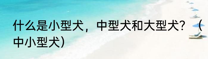 什么是小型犬，中型犬和大型犬？（中小型犬）