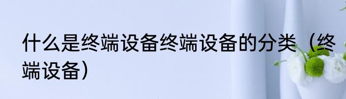 什么是终端设备终端设备的分类（终端设备）