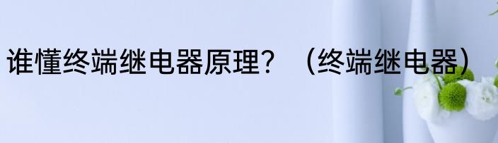 谁懂终端继电器原理？（终端继电器）
