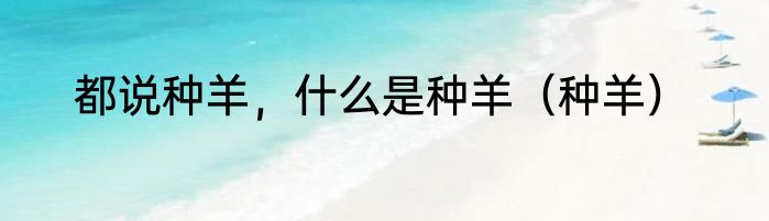 都说种羊，什么是种羊（种羊）