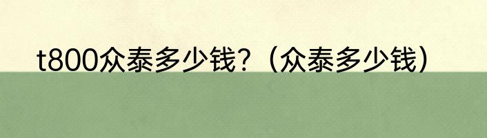 t800众泰多少钱?（众泰多少钱）