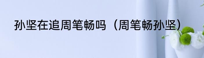 孙坚在追周笔畅吗（周笔畅孙坚）
