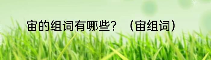 宙的组词有哪些？（宙组词）