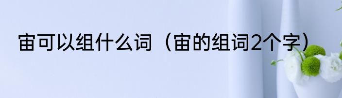 宙可以组什么词（宙的组词2个字）