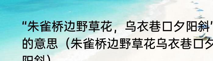 “朱雀桥边野草花，乌衣巷口夕阳斜”的意思（朱雀桥边野草花乌衣巷口夕阳斜）