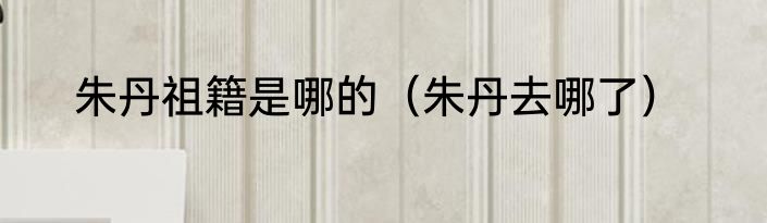 朱丹祖籍是哪的（朱丹去哪了）
