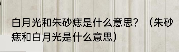 白月光和朱砂痣是什么意思？（朱砂痣和白月光是什么意思）