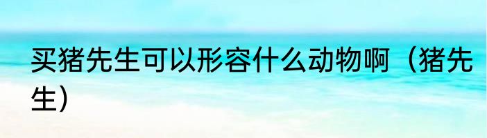 买猪先生可以形容什么动物啊（猪先生）