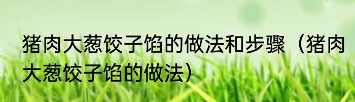 猪肉大葱饺子馅的做法和步骤（猪肉大葱饺子馅的做法）