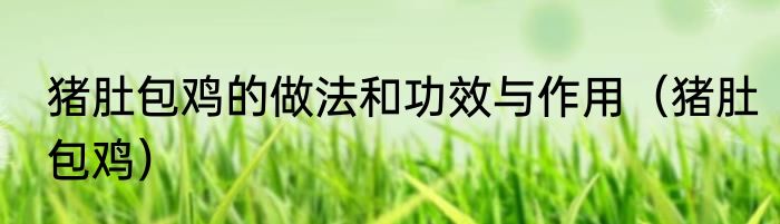 猪肚包鸡的做法和功效与作用（猪肚包鸡）