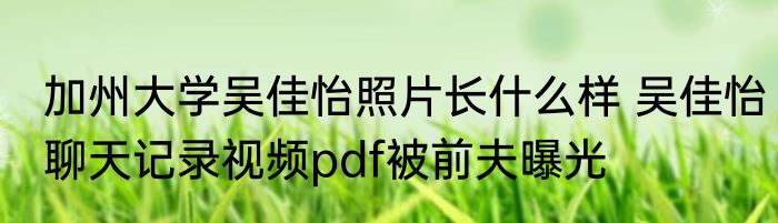加州大学吴佳怡照片长什么样 吴佳怡聊天记录视频pdf被前夫曝光