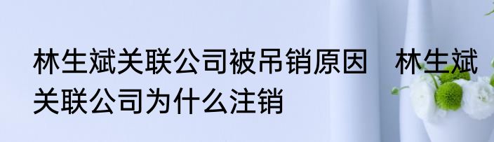 林生斌关联公司被吊销原因   林生斌关联公司为什么注销