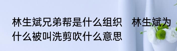 林生斌兄弟帮是什么组织   林生斌为什么被叫洗剪吹什么意思
