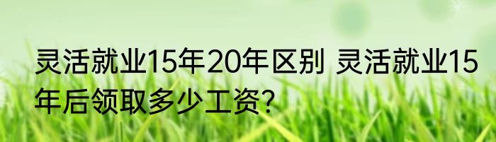 灵活就业15年20年区别 灵活就业15年后领取多少工资？