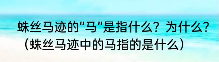 蛛丝马迹的“马”是指什么？为什么？（蛛丝马迹中的马指的是什么）