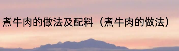 煮牛肉的做法及配料（煮牛肉的做法）