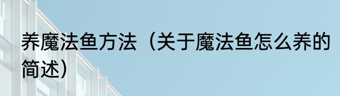 养魔法鱼方法（关于魔法鱼怎么养的简述）