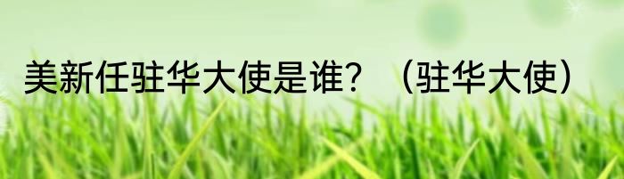 美新任驻华大使是谁？（驻华大使）