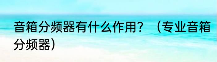 音箱分频器有什么作用？（专业音箱分频器）