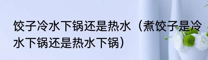 饺子冷水下锅还是热水（煮饺子是冷水下锅还是热水下锅）