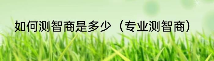 如何测智商是多少（专业测智商）