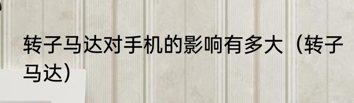 转子马达对手机的影响有多大（转子马达）