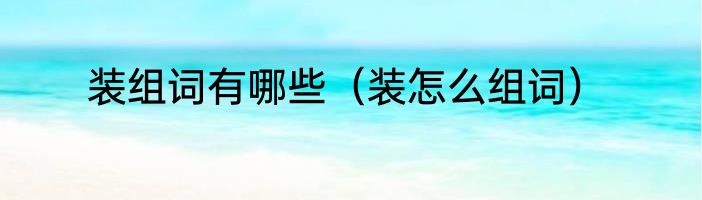 装组词有哪些（装怎么组词）