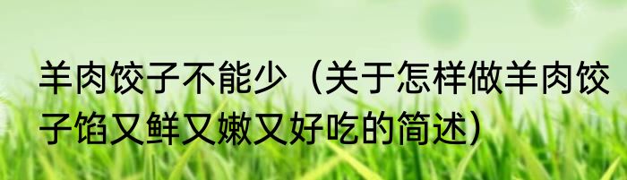 羊肉饺子不能少（关于怎样做羊肉饺子馅又鲜又嫩又好吃的简述）