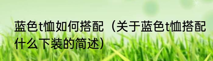 蓝色t恤如何搭配（关于蓝色t恤搭配什么下装的简述）