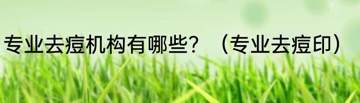 专业去痘机构有哪些？（专业去痘印）