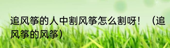 追风筝的人中割风筝怎么割呀！（追风筝的风筝）