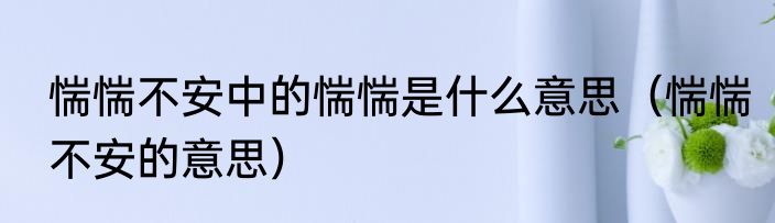 惴惴不安中的惴惴是什么意思（惴惴不安的意思）