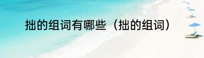 拙的组词有哪些（拙的组词）