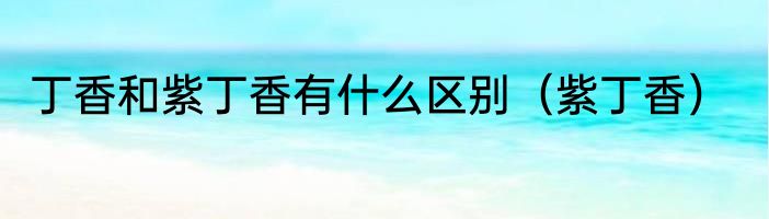 动物油和植物油有哪些不同呢（关于动物油和植物油有什么区别的简述）