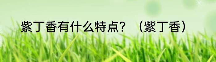 紫丁香有什么特点？（紫丁香）