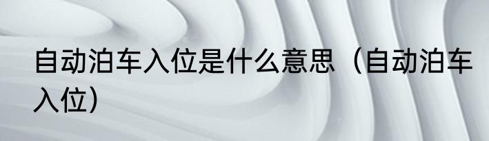 自动泊车入位是什么意思（自动泊车入位）
