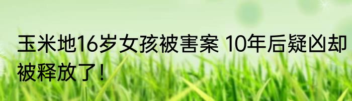 玉米地16岁女孩被害案 10年后疑凶却被释放了！