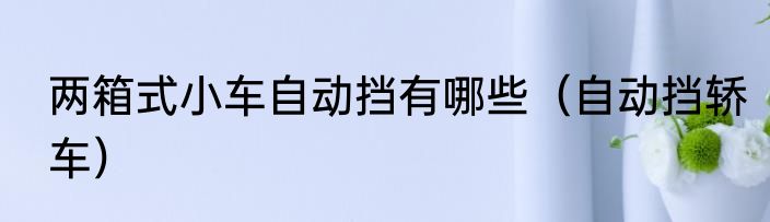 两箱式小车自动挡有哪些（自动挡轿车）