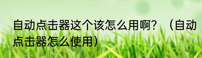自动点击器这个该怎么用啊？（自动点击器怎么使用）