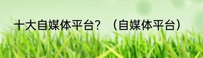 十大自媒体平台？（自媒体平台）