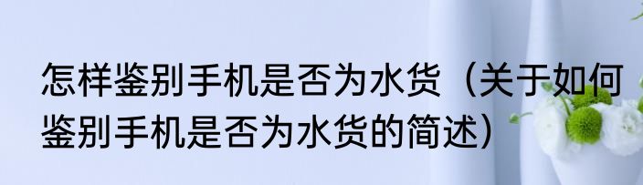 怎样鉴别手机是否为水货（关于如何鉴别手机是否为水货的简述）