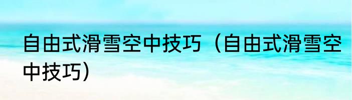 自由式滑雪空中技巧（自由式滑雪空中技巧）